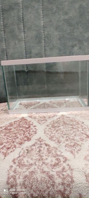 аквариум баку: 6ldir işlenmeyib ünvan xırdalan — 2