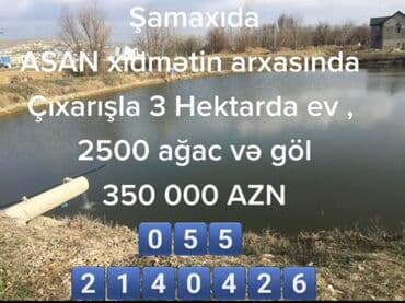 sulutəpə çiçək qəsəbəsi: Biznes üçün, Mülkiyyətçi, Kupça (Çıxarış) — 6