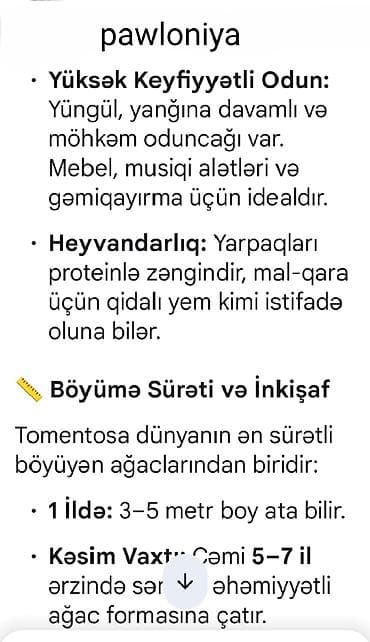 etotu bitkisi: Paulownia Tomentosa toxumları – premium sort Məhsul: - Paket: zipli — 8