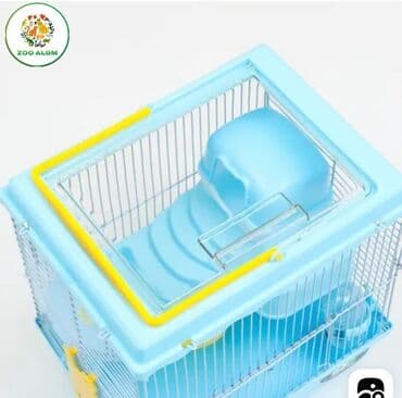 donuz balası: Xomyak və cunqarik qəfəsi Xomyak və cunqarikləriniz üçün rəngli və — 5