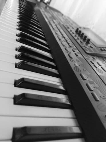 elektron skripka: Sintezator, Korg — 2