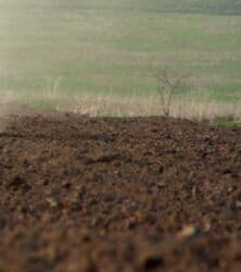 sulutəpə torpaq: 28 sot, Kənd təsərrüfatı, Mülkiyyətçi — 1