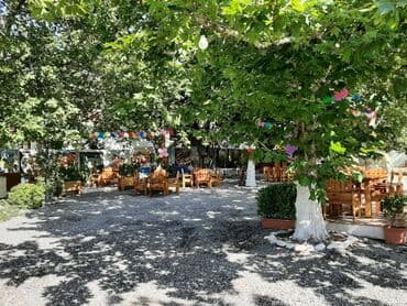 qalaciq kendi kiraye evler: Novxanı qəsəbəsində dənizə yaxın yol kənarı,sahəsi 15sot həyət sahəsi — 2