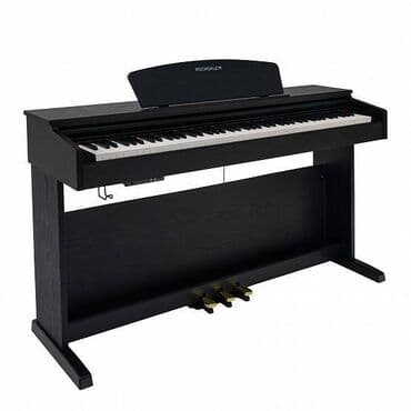 elektro piyano: Piano, Rəqəmsal, Yeni, Pulsuz çatdırılma, Ödənişli çatdırılma, Ünvandan götürmə — 2