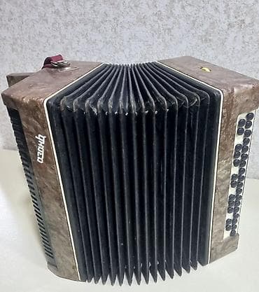 akardion: Akustik Akkordeon — 3