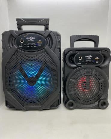 səsucaldan: "Greatnice"daşına bilən karaoke mikrofonlu bluetooth səsucaldan — 3