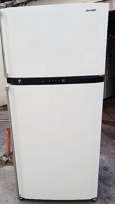 WARP YAPOHYANWDEHB tecili yalnlz reyal alan ylqsln