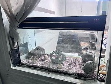 Akvariumlar: Akvariumlar — 1