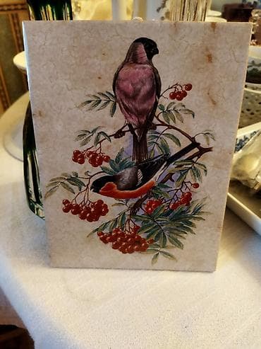 portret sekiller: Panno,Holland — 1