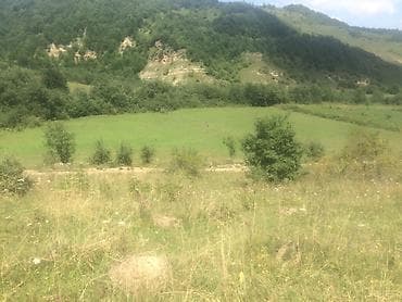 dasinmaz emlak mingəçevir: 20 sot, Biznes üçün, Mülkiyyətçi, Kupça (Çıxarış) — 4