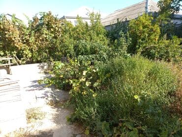 tap az yeni guneslide kiraye evler: Binəqədi qəs. 8 otaq, 240 kv. m, Kredit yoxdur, Yeni təmirli — 3