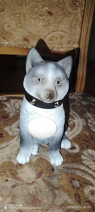 mp 3 player: It itliyi ilə işlənmiş it fiqurlu portativ musiqi dinlədicisi/kolonka — 3