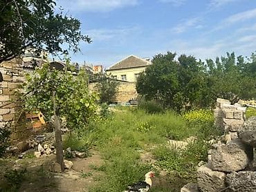 9 sot, Makler, Kupça (Çıxarış), Texniki pasport — 2