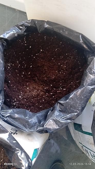 ayam cemani satilir: Torf balaken ekolayf perlitli torf peyin torpaq Məhsul: Bitki üçün — 4