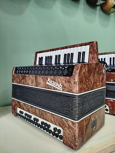 gitara: Musiqi alətləri – geniş seçim - Saz və bağlama tipli simli alətlər — 10