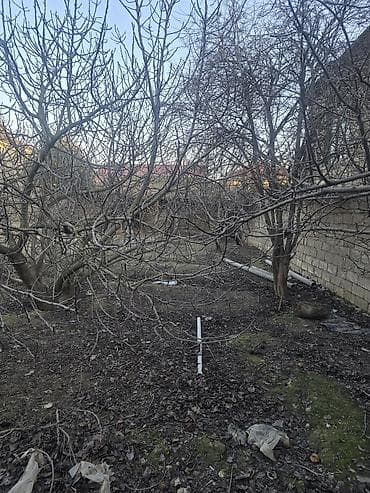 bine atciliqda evler: 16 sot, Tikinti — 8