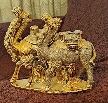 dəvə şubası: Ikili dəvə suveniri 40 m — 1