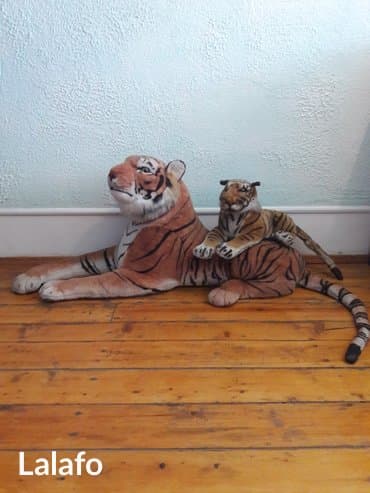 koz ve komur arasindaki ferq: Ev icin maraqll gorunuwdur diqqeti celb edir ehtiyaclm olduqumcun — 1