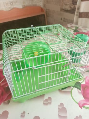 большая клетка для морской свинки: Xamyak üçün qəfəs dəsti - Kompakt ölçülü metal qəfəs, üst hissədə — 4