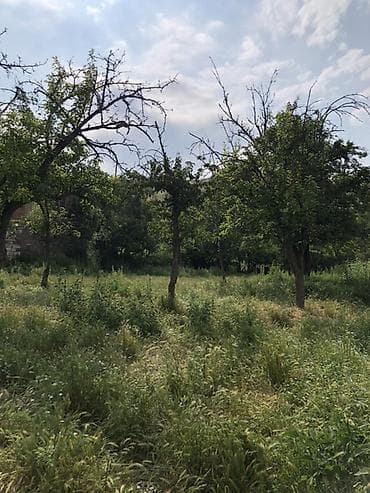 bileceri heyet: 20 sot, Tikinti, Barter mümkündür, Kupça (Çıxarış) — 4