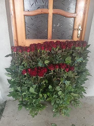 gul sekilleri: Sarmaşıq qızıl güllərin satışı. Satışda sadə dipçək qızıl güllər idə — 3