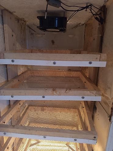 Kənd təssərüfatı avadanlığı: Bütün növ quşlaq üçün — 5