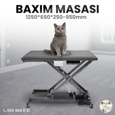 tibbi masa: Böyük ölçülü heyvanlar üçün geniş baxım masası — 1