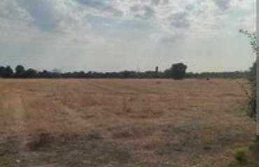 zabratda torpaq satilir: 6 sot, Tikinti, Barter mümkündür, Kupça (Çıxarış) — 4