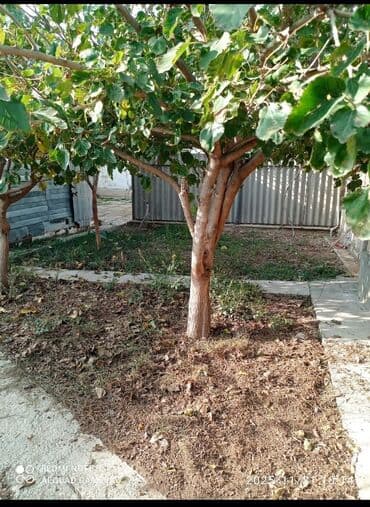 emircanda ev satisi: 6 otaqlı, 120 kv. m, Kredit yoxdur, Orta təmir — 5