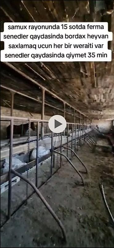 opşitel evler: Samux rayonunda 15 sot torpaq sahəsində yerləşən heyvandarlıq ferması — 4