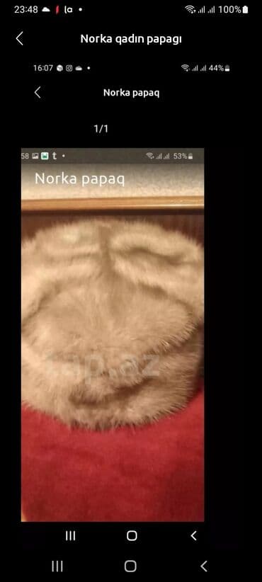 Qadın norka papagı