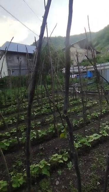 goranboy ev alqi satqisi: 5 sot, Mülkiyyətçi, Kupça (Çıxarış) — 6