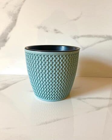 Уличные растения: Dipçəklər plasmas ela yeni 15 sm hündürlük 3 rəngi var yanlız birnin — 3