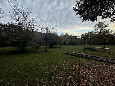 rayonlar: Zaqatala rayonu, Car kəndində torpaq sahəsi satılır 📍 Sakit və — 8