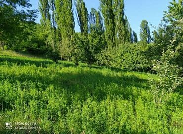 xacmazda torpaq satilir: 18 sot, Tikinti, Mülkiyyətçi, Kupça (Çıxarış) — 3