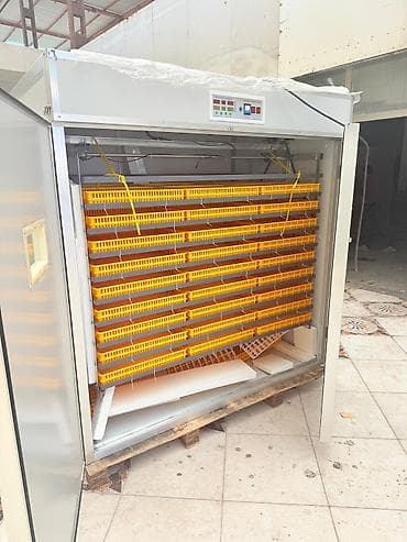 ınqbator: 5000 yumurta, Çin, Fabrik istehsalı, Tam avtomat, Bütün növ quşlaq üçün — 5