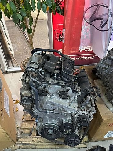 avtomobil suseleri: Koreya və Amerika avtomobilləri üçün yüksək keyfiyyətli, sərfəli və — 2