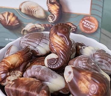 Belçika şokoladı - Guylian The Original Seashells - Premium Belçika — 3