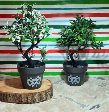 dekarativ guller: Dekorativ güller
Süni — 3