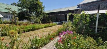 torpaq mingecevir: 12 sot, Tikinti, Makler, Kupça (Çıxarış) — 13