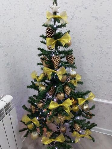 Растения: Elkacox yaxsu veziyyetde hec bir defekti yoxdu — 1