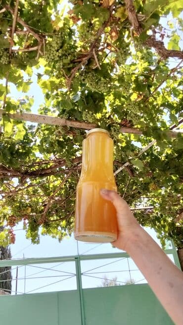 Другие продукты питания: Salam ABQORA satiram pirşağı bağlarından ABQORA premium Can dermani — 1