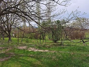 Продажа дач: Satışa təqdim olunur: yeni tikili həyət evi və geniş torpaq sahəsi 24 — 7