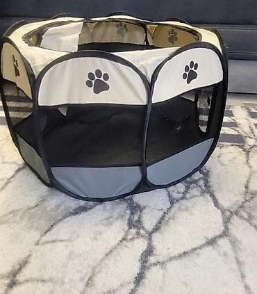 boxer it: Pişiy evi — 1