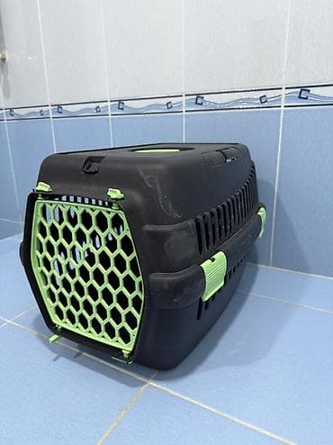 Собаки: Dasima cantasi 50 m — 2