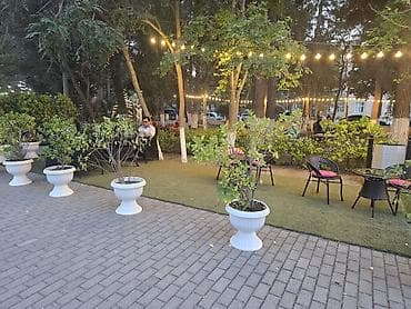 şaxta baba saxta can: Açıq havada yerləşən mobil kafe – Bella Coffee & Drinks Məhsul və — 3