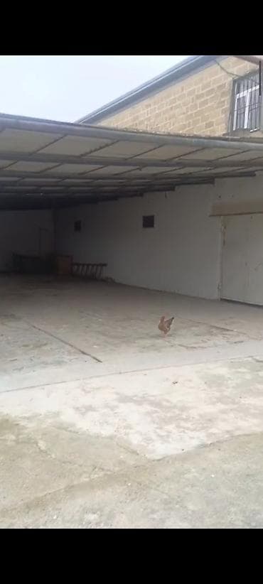 zaqatala emlak bazari: 4 sot — 3