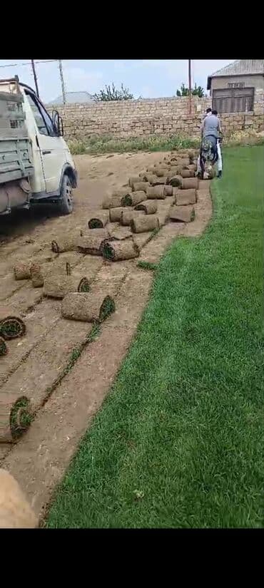 Digər tikinti xidmətləri: Ummi abadliq xidmeti torpaq lazmdisa torpaq getrib yaymaq duždeşdirib — 13