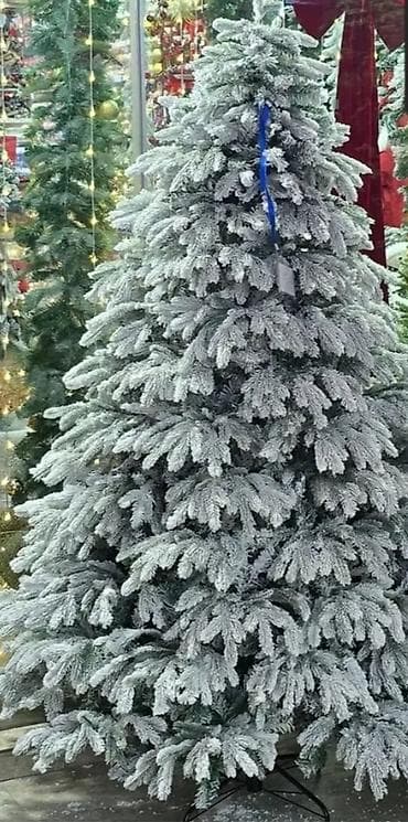 kedr agaci: Baha alınıb karopkanin içindədi, ciddi şəxslər narahat etsin.Məhsul — 2