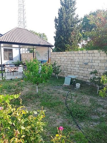 qab qaşıq: Oturacaq-yelləncək, Zontiksiz, Metal — 3